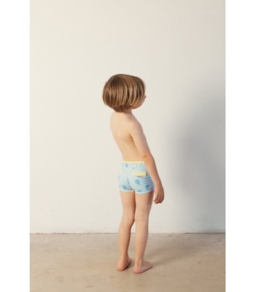 BOXER NIÑO ESTAMPADO PERA MARCA WATERLEMON