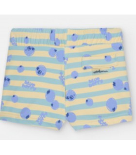 BÓXER BAÑO NIÑO ESTAMPADO DE RAYAS VERDES Y ARÁNDANOS MARCA WATERLEMON