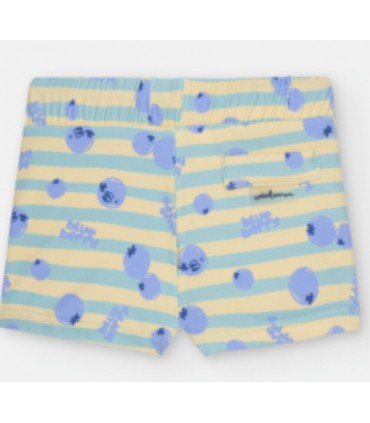 BÓXER BAÑO NIÑO ESTAMPADO DE RAYAS VERDES Y ARÁNDANOS MARCA WATERLEMON