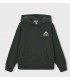 SUDADERA CON CAPUCHA PRINT BOSTON KIDS